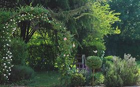 La Vigna B&B